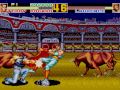 餓狼伝説スペシャル PCエンジン テリー / Fatal Fury Special PC Engine