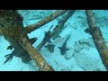 Snorkeling in Islamorada Alligator Reef Lighthouse - July 25th 2021 GH010262