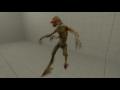 Half-Life 2: Unused/scrapped animations