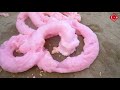 Satisfying Video l How To Make Color Ful Foam with Animals, Mentos vs Coca Cola, Popular Sodas