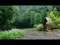 Comfortable Rain in a Beautiful Forest Garden - Rain Sounds Help you Relax, Sleep