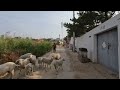 【天津·蓟州】车神架景区，夏日避暑、游山玩水的好去处 Discover the Real China in 4K HDR