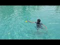 Swimming Vibe# neyyar Dam #day #shortsvideo
