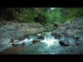 Relaxing River Sounds White Noise for Therapy, Deep Sleep, Stress Relief, Meditation
