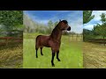 My Dream Updates for Star Stable - [SSO]