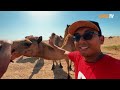 Ini Rahsia Kenapa Oman dipanggil The Jewel of Arabia - Travelog Oman EP3