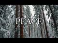 PEACE | SOAKING WORSHIP INSTRUMENTAL | FOR PRAYER AND DEVOTIONAL TIME