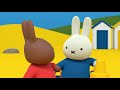 Miffy | Miffy And The Squeak! | New Series! | Miffy's Adventures Big & Small | Full Episode