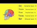 Cranial Bones | EASY Mnemonic to Help Memorize the 8 Cranial Bones of the Skull | Anatomy