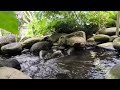 Water Sounds for Sleep or Focus . #nature  #relaxing