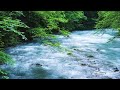 4K Peaceful Bow River Ambience | Water Sounds White Noise | Sunny Day Weekend