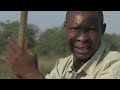 Zambeze Cruise around the world (Documentary, Discovery, History)
