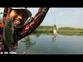 Cabang Gelam!!! Spot Nila Babon || Rekor Mancing Dapat 12 kg