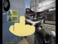 counter strike: cat offensive