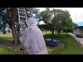 21 Students Stung by Killer Bees [360° 4K HD]