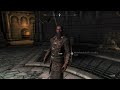 The mothpriest prophecies. Skyrim AE RP modded Part 13