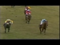 1986 Grand National Aintree West Tip