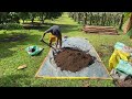 Applying Organic and Vermicast Fertilizer to rehabilitate the fruit trees