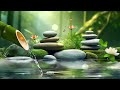 Relaxing Music with Birds Singing - Bamboo Water Fountain & Piano Music, Stress Relief, Deep Sleep