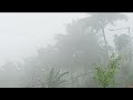 Heavy rain and strong storm winds foggy in a mountain village in Indonesia, Storm wind rain to sleep