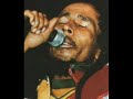 Bob Marley HD Pittsburgh,USA 80 (ULTIMO CONCIERTO) Natural Mystic/Positive Vibration