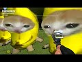 BANANA CAT FAMILY VS HOUSES 2 (Garry's Mod)