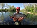 Trout Fishing Missouri's Niangua River