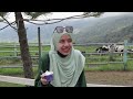 Jalan-jalan Sabah Part 3 (Desa Farm, Alpaca Club)