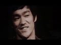 Bruce Lee vs Ip Man (3D Fight)