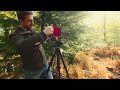 Beautiful Autumn Film Photography in 6x17