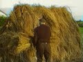 Irish Linen Documentary - Farming flax in Ireland