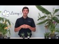 How to Grow Aloe - EASY!