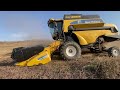 New Holland CL560 - CSX7050 TREBBIATURA con PENDENZE 😱da BRIVIDO 😱😱 Az.Flli IACOMINI Cetona (SI)