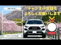 【RAV4】タコマ風グリル取り付け動画（解説なしVer.）