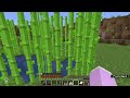 I made 200 CAKES in Minecraft!! Ignitor SMP