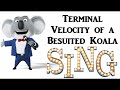 Terminal Velocity of a Besuited Koala - Sing 2