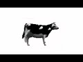 Vaca Polaca bailando por 4 horas - Koly Dream