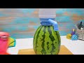 🍉 5 fantastische Ideen für Wassermelonen