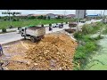 Nice Showing Action Filling Up The Land huge, Bulldozer Push Soil & Stone Into Water, Dump Truck