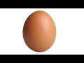 this is an egg…