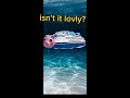 piggy ship #shorts #piggy #ship #funny