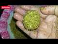 ചെറുപയർ കൊണ്ട് tasty ലഡ്ഡു | Green gram laddoo | Laddo recipe.