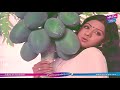 Sirimalle Puvva Video Song HD | Padaharella Vayasu Movie Songs | Sridevi | YOYO TV Music