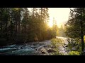 Golden Sunrise on Merced River, Yosemite | 4K Relaxing Nature Scene | Relaxing River Sounds- 3 Hours