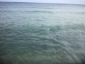 Big waves in Lake Ontario (Toronto, Ontario)