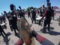 Finish Line - 728 Cadets 2024 - cymbal cam