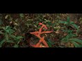 The Sounds of Fall | FujiFilm XT4