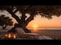 [playlist] Soothing Jazz 🎹Music for Work, Study, Ambience, and Relaxation Tea Time✨피아노재즈,힐링음악,휴식,릴렉스