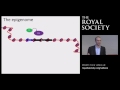 Gene regulation and the epigenome