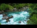 4K Sunset River Evening Ambience with Birdsong | Relaxing Nature Sounds for Sleep and Meditation